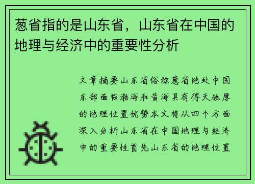 葱省指的是山东省，山东省在中国的地理与经济中的重要性分析