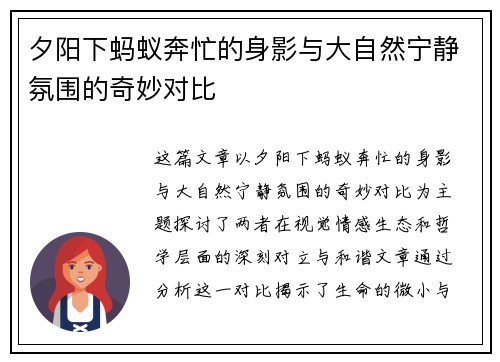 夕阳下蚂蚁奔忙的身影与大自然宁静氛围的奇妙对比